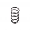 COIL SPRING (Front, Standard)