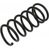 COIL SPRING (Rear, Standard)