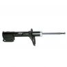 AMORTISSEUR AVD Gaz