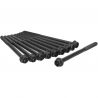 HEADBOLT Set (OEM)
