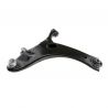 CONTROL ARM (Lower, Left)