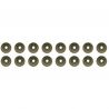 VALVE STEAM SEALS (Set) (OEM)