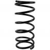 COIL SPRING (Rear, Standard)