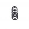 COIL SPRING (Rear, Standard)