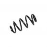 COIL SPRING (Rear, Standard)