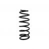 COIL SPRING (Rear, Standard)