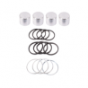 KIT de JOINTS + PISTONS d'Etrier de Frein