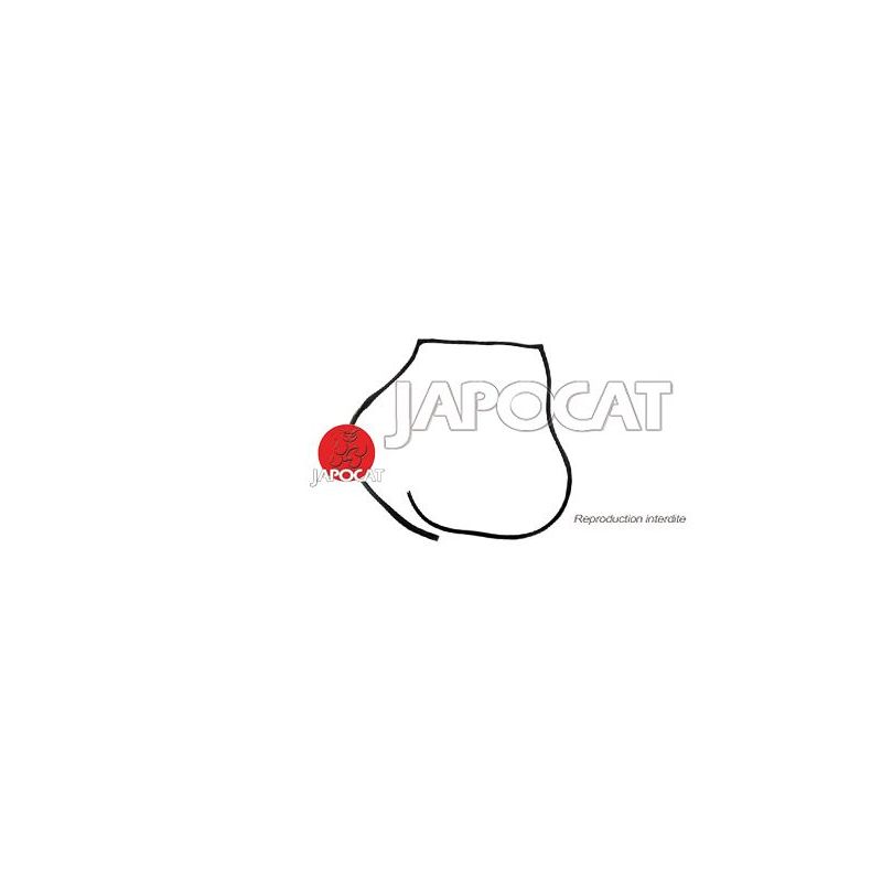 JOINT DE PORTE AVD J4