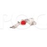 POMPE A EAU ACCORD CD/CE